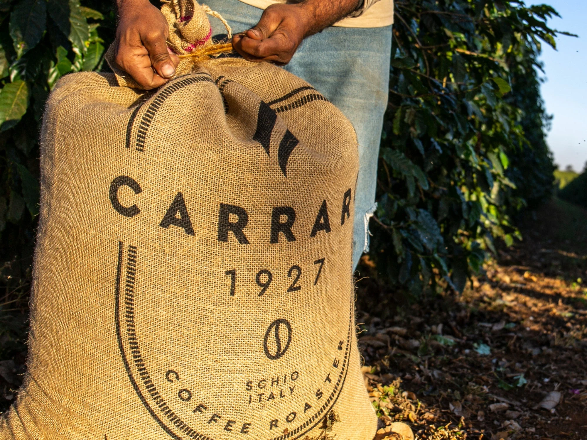 Caffe Carraro Whole Bean Espresso Sampler - Image 2